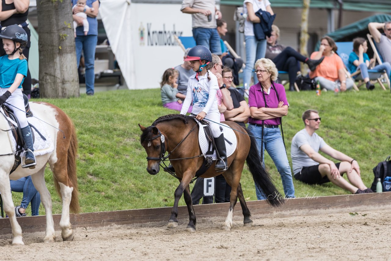 Bild 9 - Pony Akademie Turnier